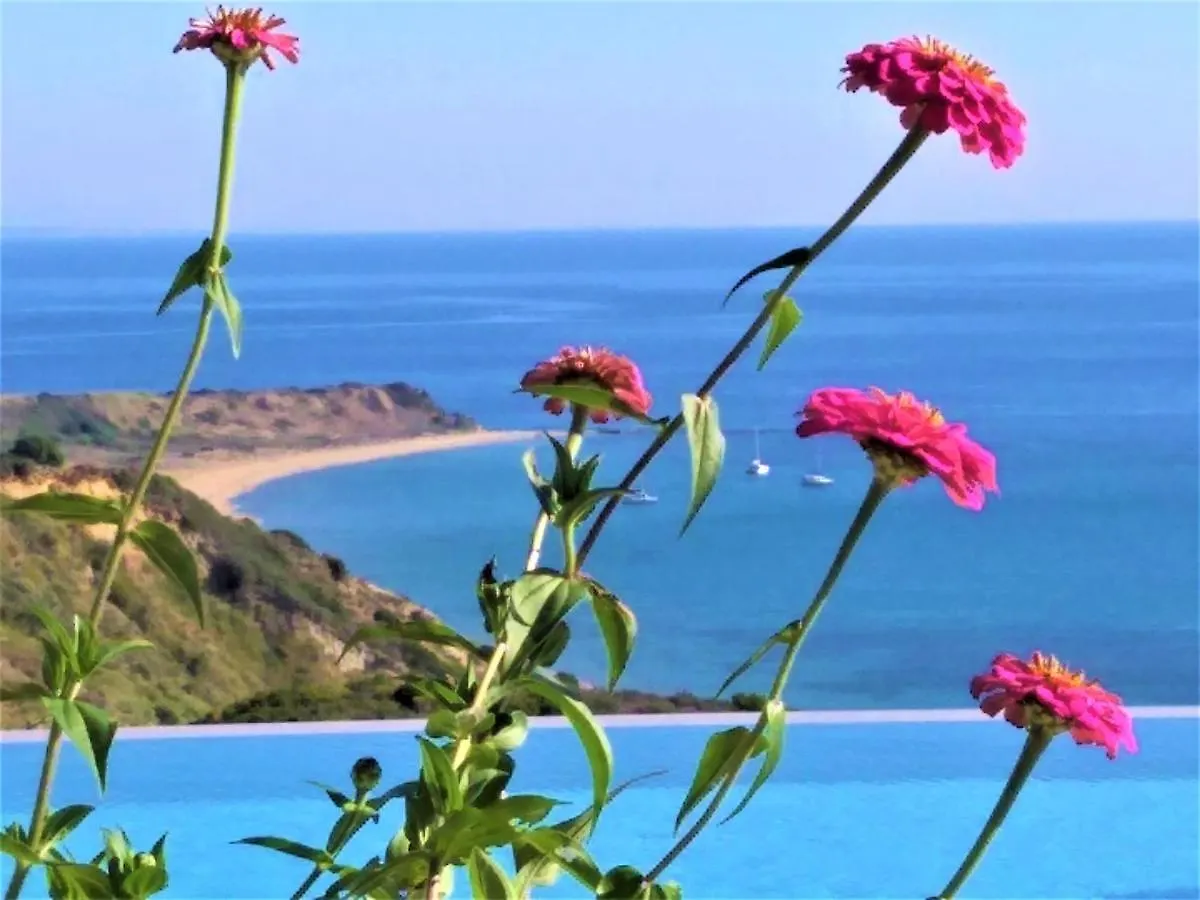 Villa Kaminia Blu Ratzaklíon Grecia